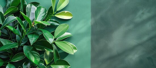 Poster - Colorful green and gray image with beautiful clipping path and ample copy space