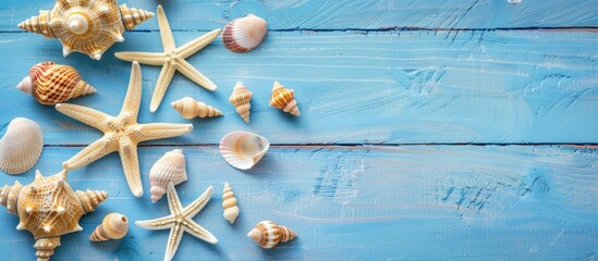 Sticker - Copy space image of starfish and shells neatly arranged on a blue wooden surface