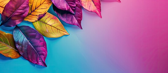 Aufkleber - Colorful leaves with copy space image