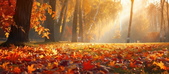 Poster - Autumn landscape with vibrant foliage in the park perfect for a copy space image