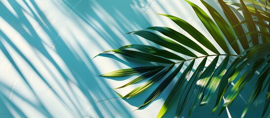 Poster - Capture a summery aesthetic with a detailed shot of a palm leaf and shadows creating an abstract texture on a beautiful nature background in a minimalist flat lay composition featuring abundant copy
