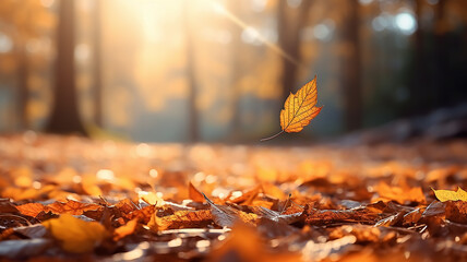 Wall Mural - leaf fall in the autumn park in the sunlight, dry yellow leaves fly in the landscape of warm october