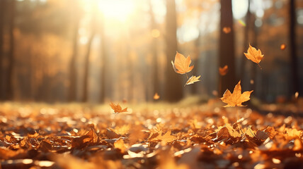 Wall Mural - leaf fall in the autumn park in the sunlight, dry yellow leaves fly in the landscape of warm october