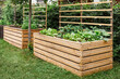 © Maryana - Garden Beds Raised Beds for Growing Vegetables and Salad. Modern Gardening. Community Garden with Vegetable Patch.