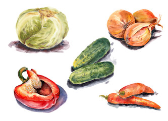 Vegetables set for cooking. Watercolor on paper