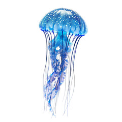 Blue jellyfish clip art