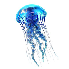 Blue jellyfish clip art