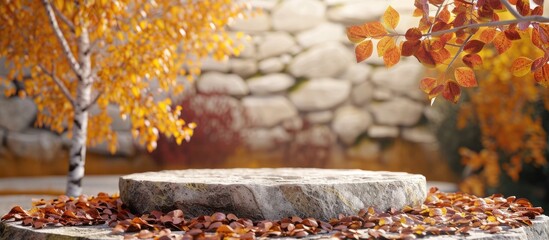 Sticker - Podium made of natural stones as an autumn themed backdrop with copy space image