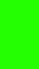 Canvas Print - Venus planet rotating and zooming in on green screen or chroma key.Front view surface craters. Can be used for astronomy,astrology, solar system