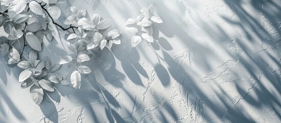 Sticker - White concrete surfaces with leaf and branch shadows create a natural pattern with light gray shadows against a view perspective background offering copy space image