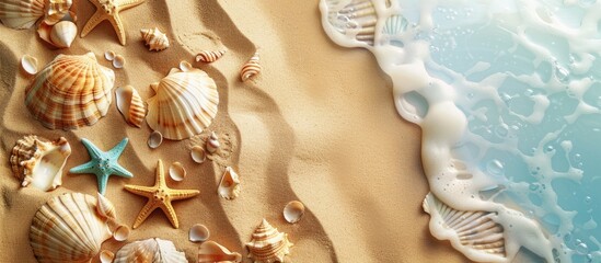 Sticker - Sea sand background decorated with seashells starfish and ocean on the sides ideal as a copy space image