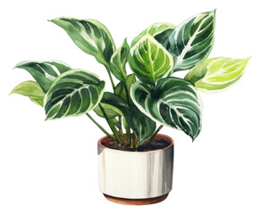 Sticker - PNG Plant leaf vase white background.