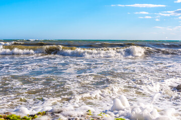 Canvas Print - sea ​​coast