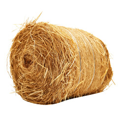 Wall Mural - roll of hay isolated on transparent white background, clipping path