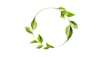 Wall Mural - Simple Circular frame,blank in the frame,leaf,illustration,isolated on white background