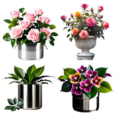 Wall Mural - Pictures of beautiful trees and flowers grown in pots. The picture is cut out on a white background. top.(4)