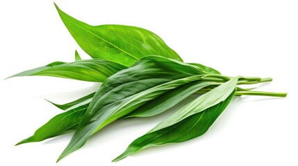 Isolated white background plantain leaves