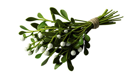 Wall Mural - bundle of mistletoe with green leaves and white berries. perfect for holiday decorations and festive