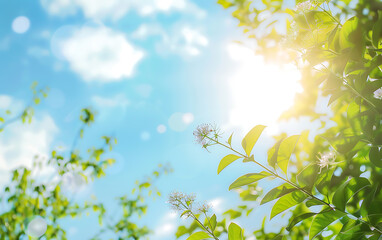 Green leaves and white flowers against a bright blue sky with sunbeams, a perfect image for spring and nature themes. 
