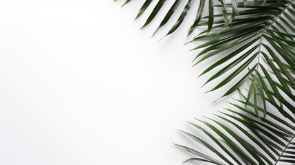 Wall Mural - Tropical palm leaves on white background. Flat lay, top view