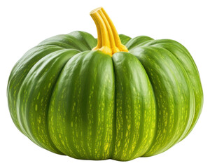 Poster - PNG Pumpkin vegetable squash plant.