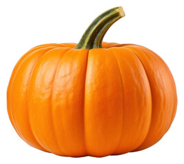 Sticker - PNG Pumpkin vegetable plant food.