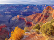 © MaxK - The view of the Grand Canyon is breathtaking, with the orange and red cliffs and the trees in the foreground