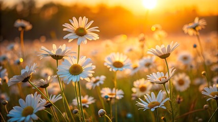 Canvas Print - Sun-Kissed Daisies in a Gentle Breeze  Generative AI