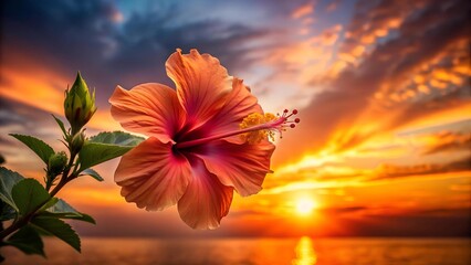 Poster - Hibiscus in a Tropical Sunset  Generative AI