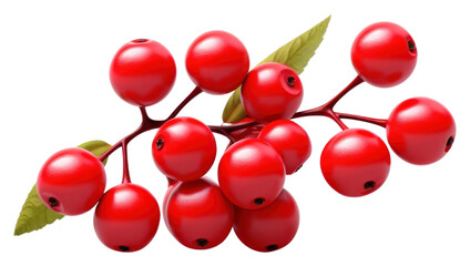 Wall Mural - PNG Winterberry cherry plant fruit.