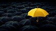 © MakoPoko - A single yellow umbrella standing out among a sea of dark ones, symbolizing uniqueness and individuality.