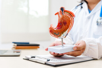 A gastroenterologist uses an anatomical model to explain stomach problems, infections, and treatment options to a patient during a consultation at the clinic.