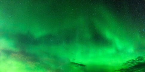 Wall Mural - aurora borealis, northern lights glowing with starry in the night sky