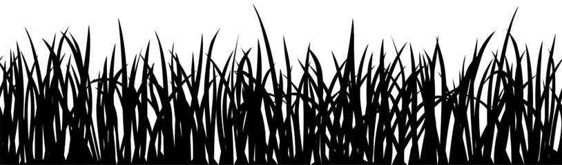 Wall Mural - vector black grass silhouette seamless pattern isolated on white background