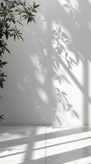 Wall Mural - Serene interplay of light and shadow on a minimalist white wall, with delicate leaf silhouettes creating a natural, zen-like atmosphere indoors.