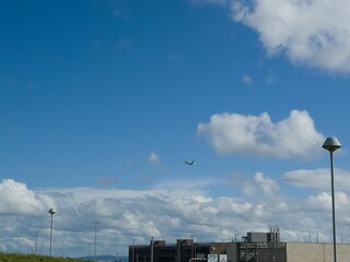 Wall Mural - Summer white fluffy cumulus clouds in the deep blue sky