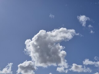 Poster - Summer white fluffy cumulus clouds in the deep blue sky