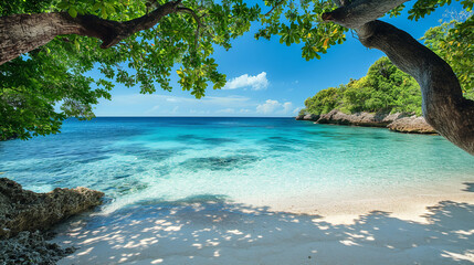 Serene tropical beach framed by lush trees with clear turquoise water and sandy shore. Copy space