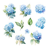 Watercolor set of  blue hydrangea branch with leaves
