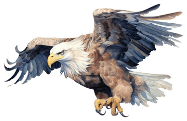 Sticker - PNG Eagle animal eagle bird.