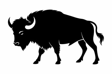 Poster - Bison buffalo vector silhouette, bison icon