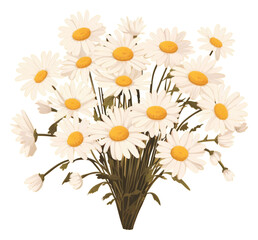 Poster - PNG Daisy bouquet daisy flower petal.