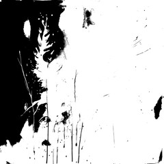 Inkblot Dance: Contrasts in Black and White