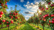 © Jam - Apple orchard with red ripe apples on branches.Two rows of apple trees full of fruit seen under a blue sky nearly ready for picking.Apple orchard.Morning shot. generative ai