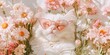 © Alena - Cute white cat wearing heart-shaped sunglasses among field of delicately pink wildflowers. The animal is surrounded by floral isorus of chrysanthemums on monochrome light background. Summer concept.