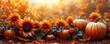 © Anna - Festive autumn scene with vibrant pumpkins and sunflowers under sunny daylight. Autumnal themes, seasonal decoration, and vibrant harvest celebration.
