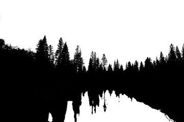 A night view of a silhouetted treeline and a distorted reflection in a small pond. The sky and the reflected sky are transparent.
