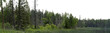 © Craig Taylor Photo - A panoramic view of a northern forest setting and a marshy lake. The sky is transparent.