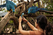 © Luis Herrera/Stocksy - volunteer taking pictures of macaws in animal rescue center