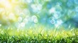 © Bijac - idyllic spring meadow with lush green grass and blue sky abstract bokeh background